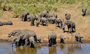 4-DAY LUXURY NORTHERN CIRCUIT SAFARI